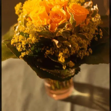 Raffl Aparthotel Sankt Anton am Arlberg